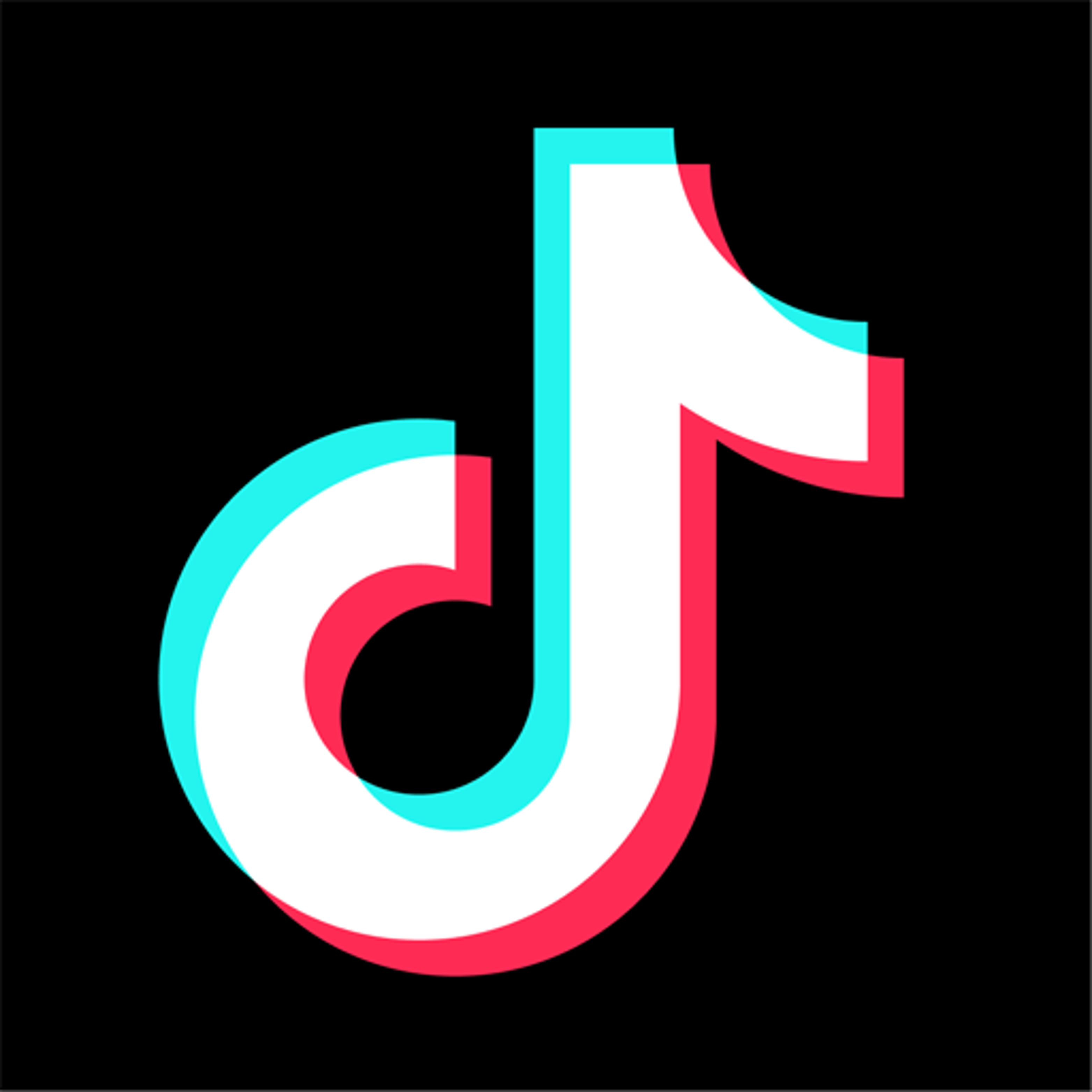 틱톡(tiktok)